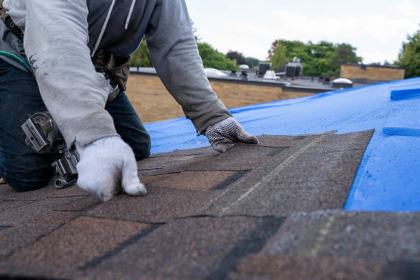 Best Roof Repair Services  in Washburn, ND