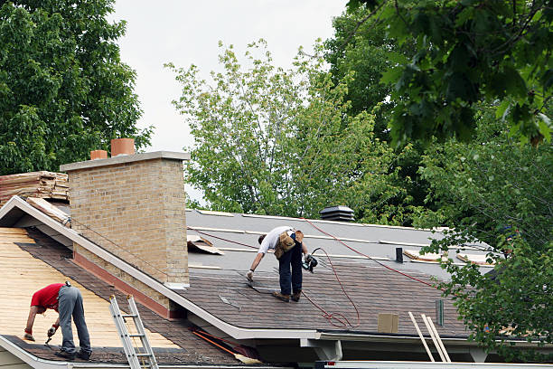 Best Roof Restoration Services  in Washburn, ND
