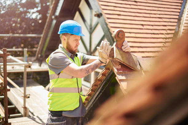 Best Roof Maintenance Services  in Washburn, ND