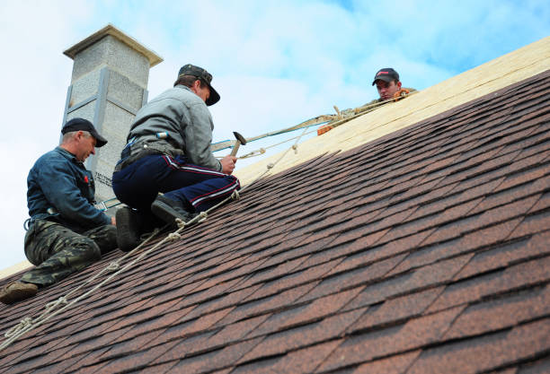Roof Gutter Cleaning in Washburn, ND