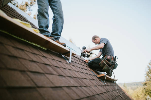 Best Local Roofing Companies  in Washburn, ND